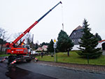 Weihnachtsbaumernte 2017